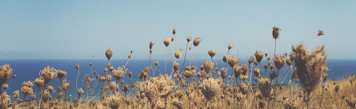 DDOS在线攻击平台