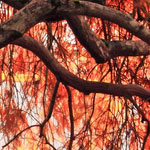 界面清爽简洁的攻击网站服务器