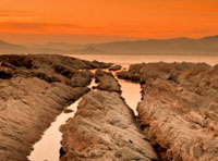 Web漏洞扫描工具