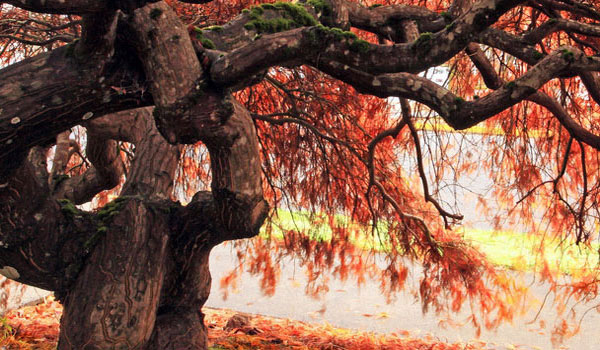 智能提示贴心的攻击网站服务器